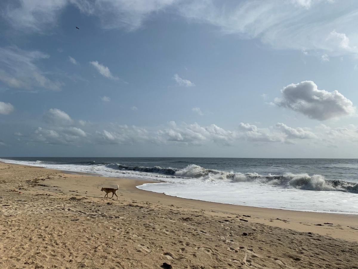 Peacock Villa Marari Beach 马拉利库兰 外观 照片